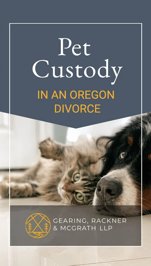 Pet Custody Web Story Cover